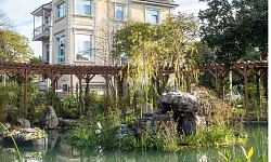 Здание в центре Сочи