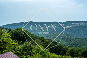 Изображение 21