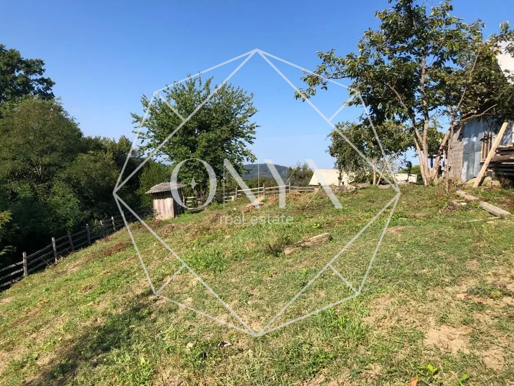 Изображение 12