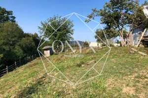 Изображение 12