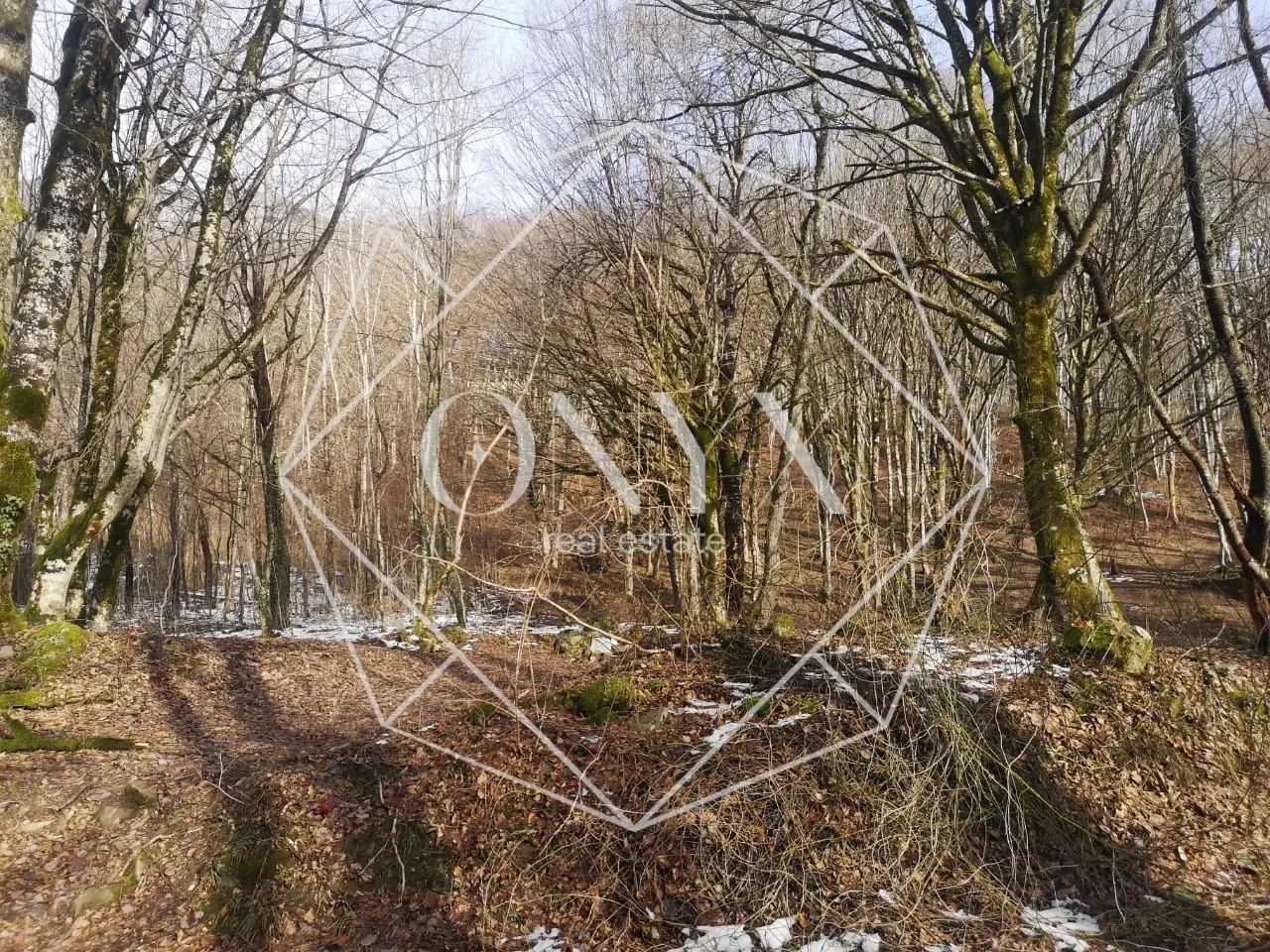 Изображение 8