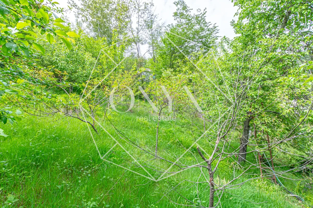 Изображение 14