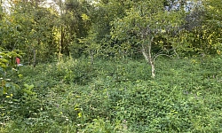 Продам участок с видом на горы