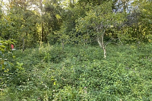 Продам участок с видом на горы