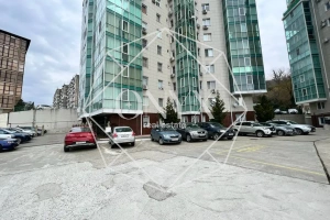 Изображение 11