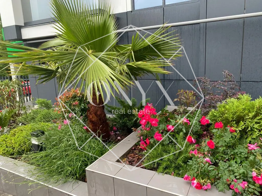 Изображение 11