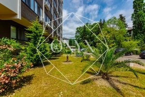 Изображение 12