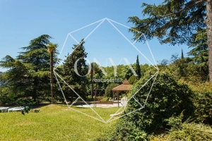 Изображение 19