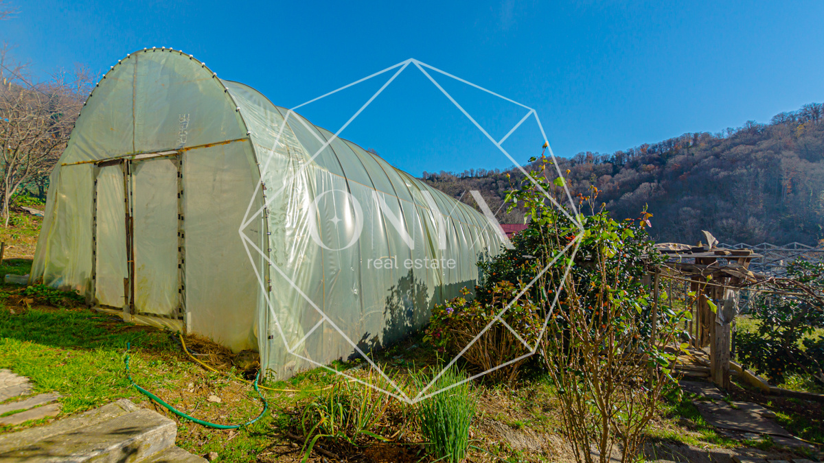 Изображение 8