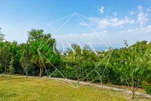 Изображение 21