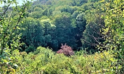 Продам земельный участок в Сергей поле