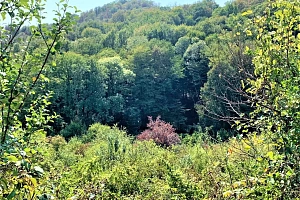 Продам земельный участок в Сергей поле