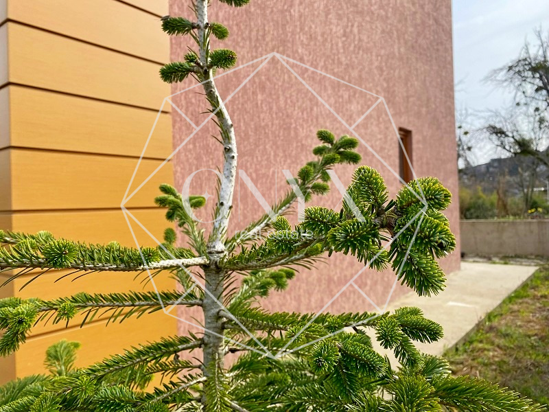 Изображение 10