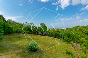 Изображение 20