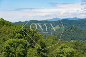 Изображение 14