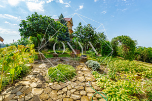 Изображение 19