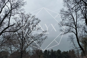 Изображение 9