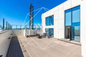 Изображение 17