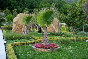 Изображение 16