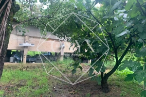 Изображение 18