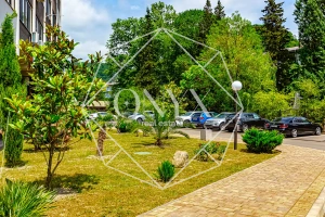 Изображение 17