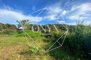 Изображение 11