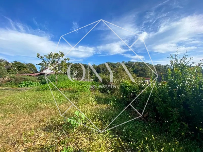 Изображение 11