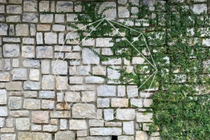 Изображение 9