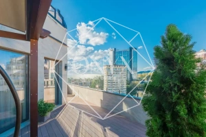 Изображение 11