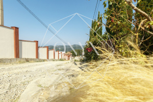 Изображение 24