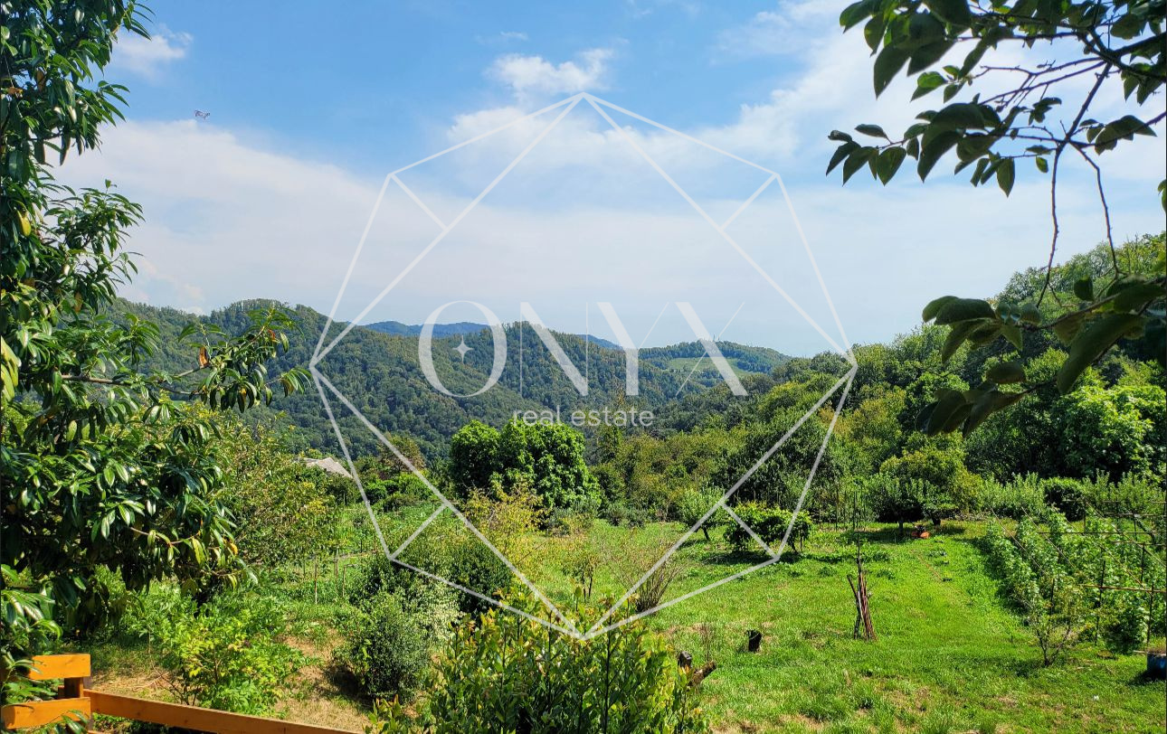 Изображение 13