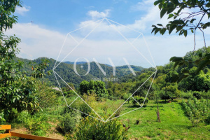 Изображение 13