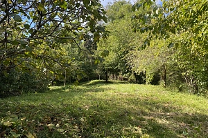 Земля под коттеджи в Мацеста