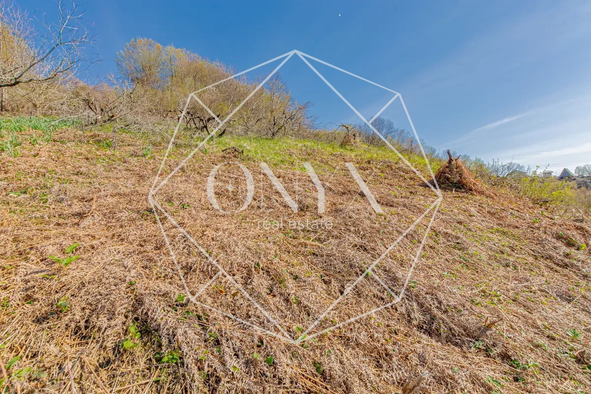 Изображение 11