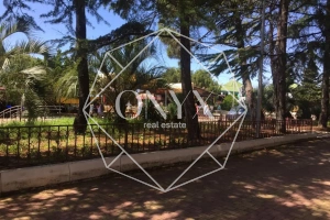 Изображение 51