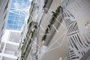 Изображение 12