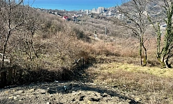 Идеальные видовые характеристики