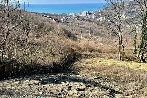 Идеальные видовые характеристики