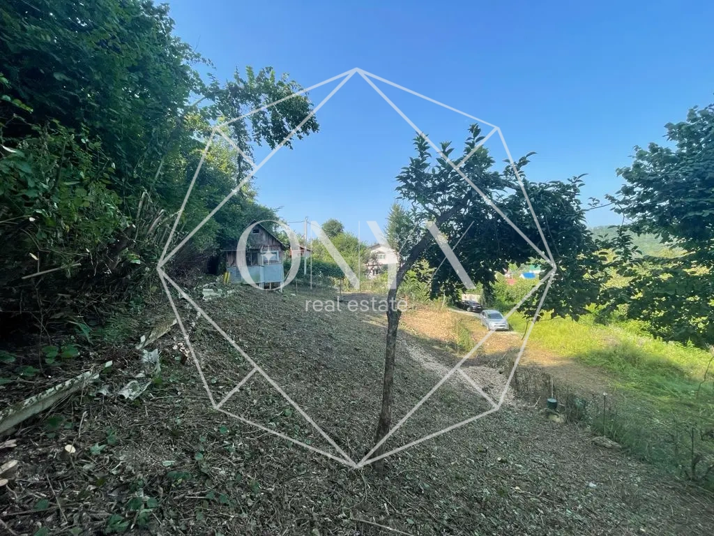 Изображение 8