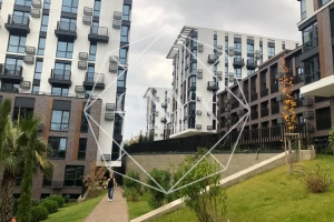 Изображение 8