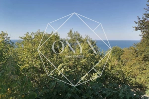 Изображение 12