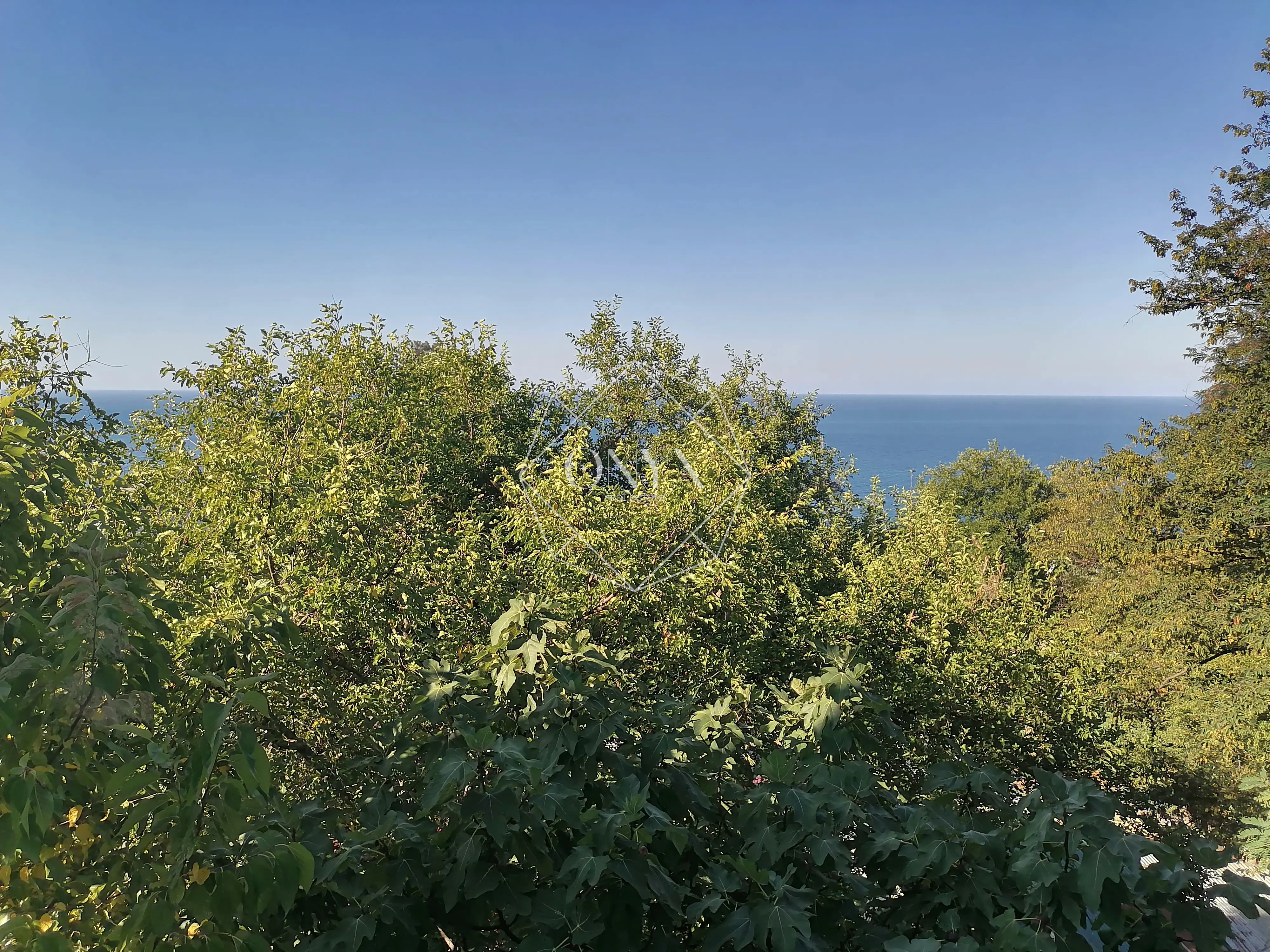 Изображение 12