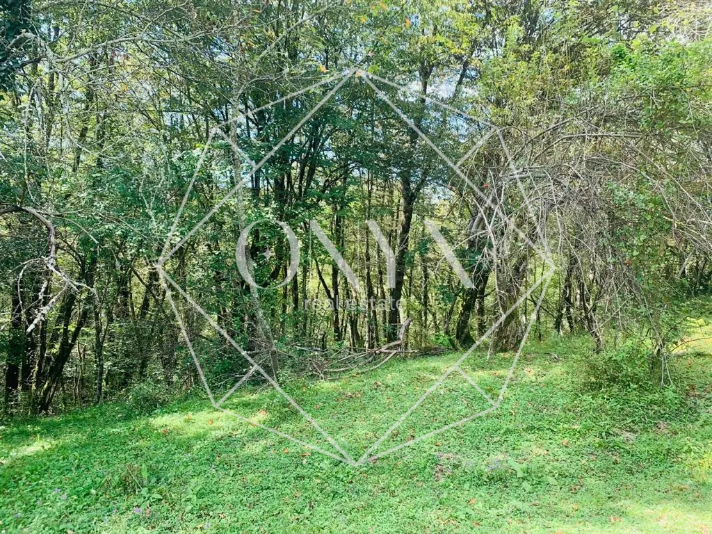 Изображение 23