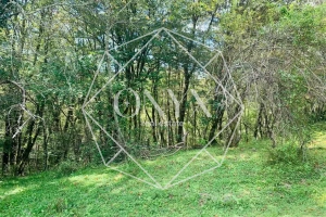 Изображение 23