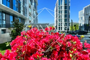 Изображение 17