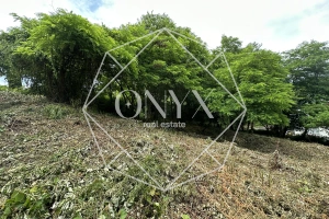 Изображение 11