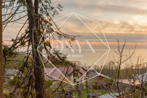 Изображение 13