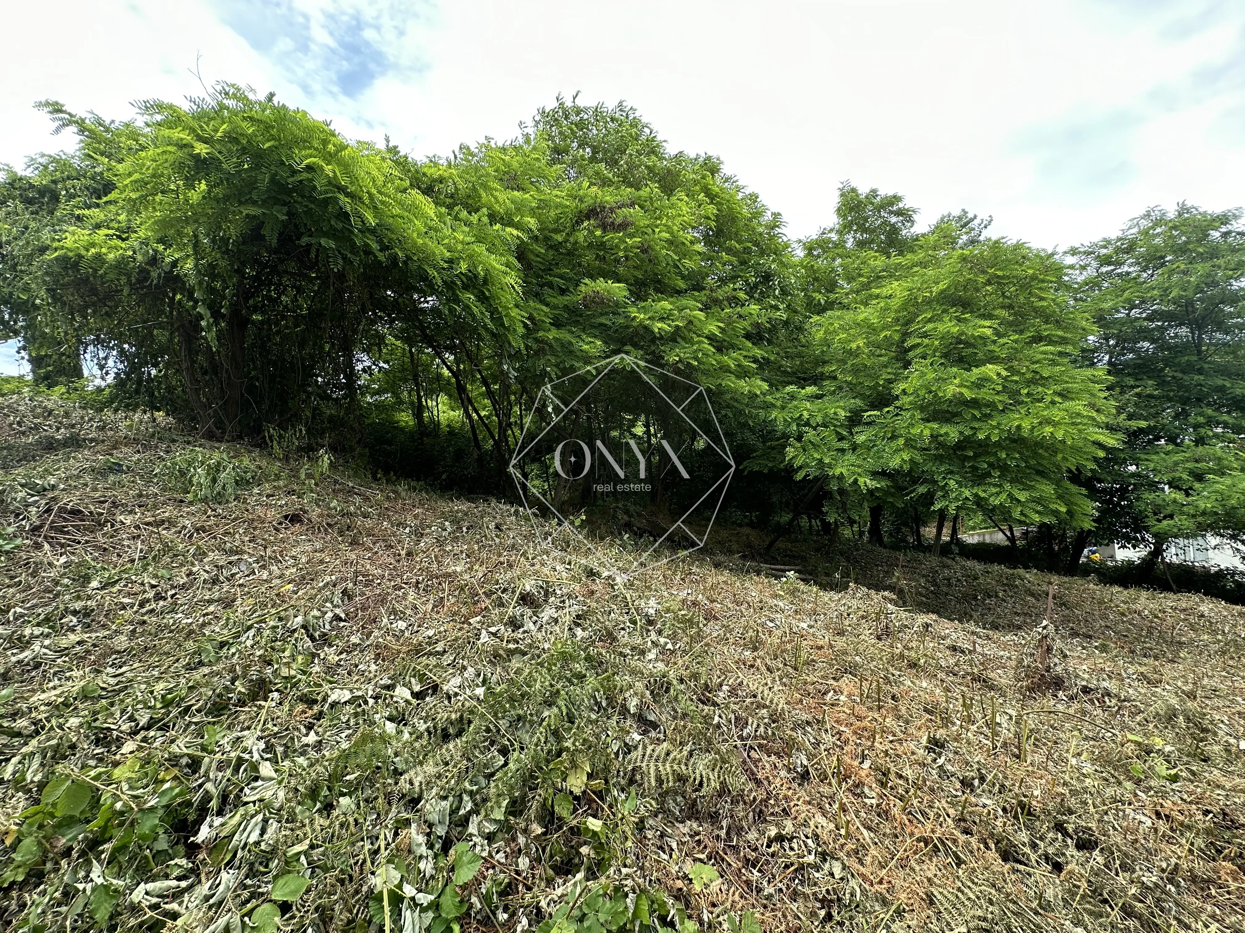 Изображение 11