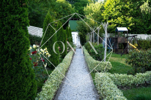 Изображение 18