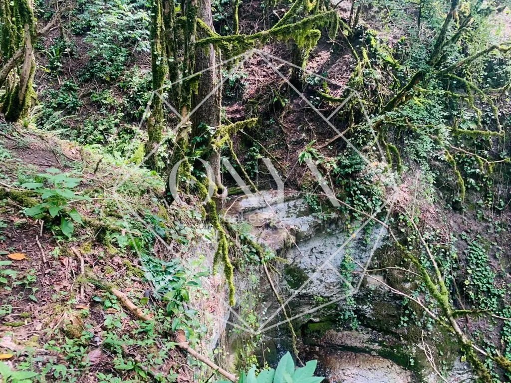 Изображение 15